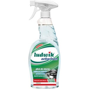 CH-Ludwik do zatłuszczonych powierzchni active foam 750ml